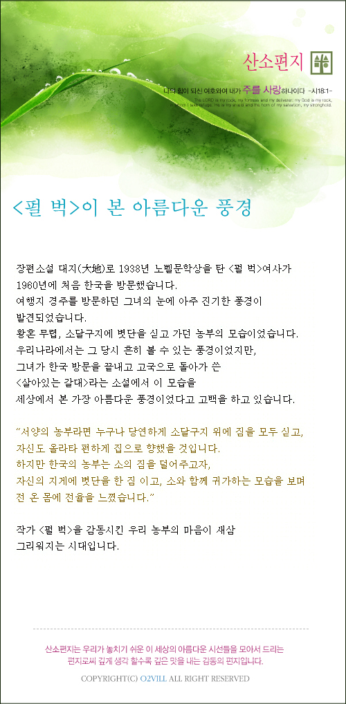 펄벅이 본 아름다운 풍경